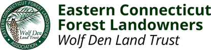 Forestry and Logging in Connecticut: What Every Landowner Should Know ...